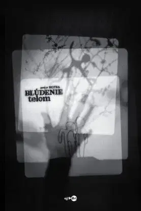 Blúdenie telom - Peter Hotra