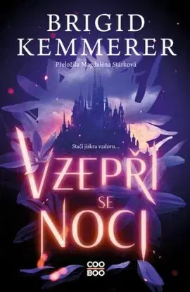 Vzepři se noci - Vzepři se noci 1 - Brigid Kemmerer