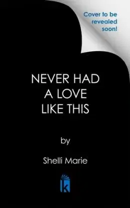 Never Had a Love like This - Shelli Marie