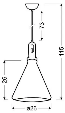 Závesná lampa Robinson 26 1X60W E27 čierno-čierna