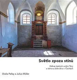 Světlo zpoza stínů - Julius Müller
