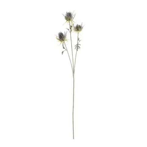 Dekoria Vetvička bodliaka 70cm, 5 x 5 x 70 cm