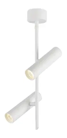 Stropné LED svetlo TUBA Candellux