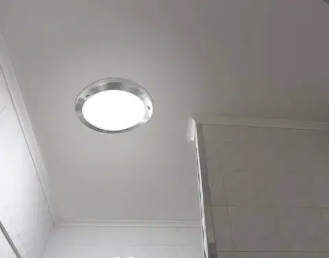 Stropná lampa Aquila 32cm 1xE27 Saténový nikel IP44