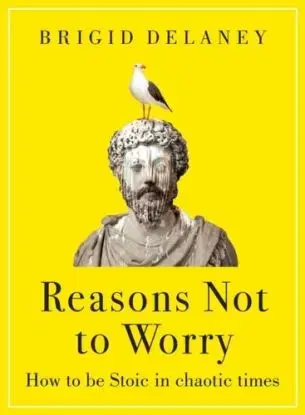 Reasons Not to Worry - Brigid Delaney