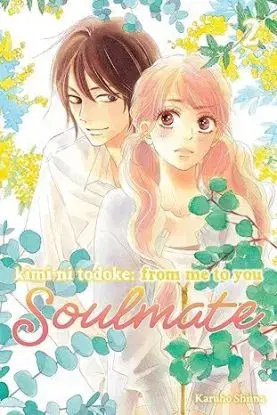 Kimi ni Todoke: From Me to You: Soulmate, Vol. 2 - Karuho Shiina