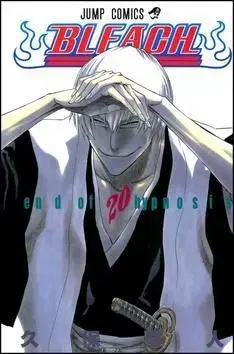 Bleach 20 - Kubo Tite, Kubo Tite
