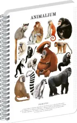 NOTIQUE Spirálový blok Animalium – Primáti, čtverečkovaný, A5