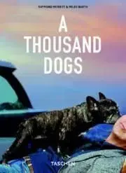 Thousand Dogs 25 Ko