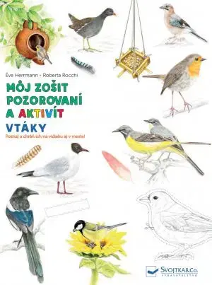 Vtáky - Môj zošit pozorovaní a aktivít - Éve Herrmann, Roberta Rocchi