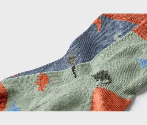Detské ponožky, 5 párov, dinosaurus