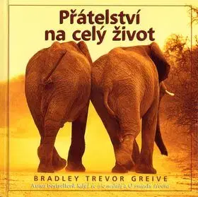 Přátelství na celý život - Bradley Trevor Greive