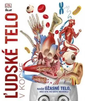 Ľudské telo v kocke