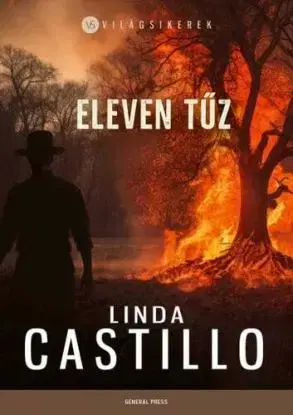 Eleven tűz - Linda Castillo
