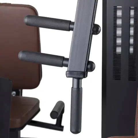 inSPORTline Profigym C300
