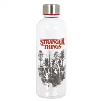 Fľaša Stranger Things 850ml