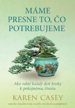 Máme presne to, čo potrebujeme - Karen Casey