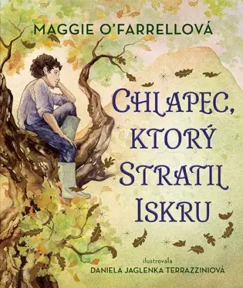 Chlapec, ktorý stratil iskru - Maggie O´Farrell, Daniela Jaglenka Terrazzini
