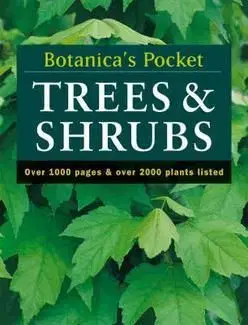 Trees & Shrubs
