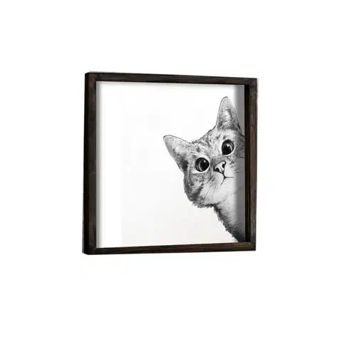 Nástenný obraz Cat 33x33 cm čiernobiely