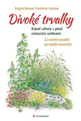 Divoké trvalky - Brigitte Kleinod, Friedhelm Strickler