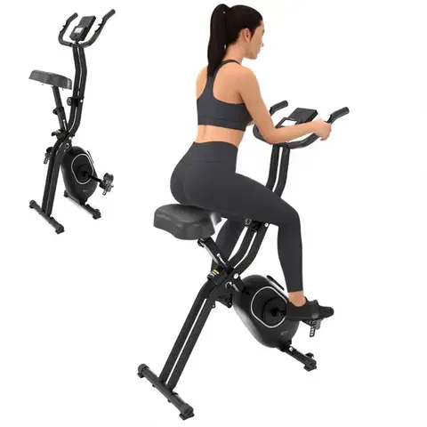 inSPORTline Xbike Lite