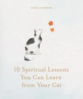 10 Spiritual Lessons You Can Learn from Your Cat - Joanna Sandsmark