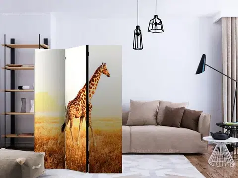 Paraván giraffe - walk Dekorhome