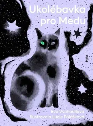 Ukolébavka pro Medu - Eva Vychodilová