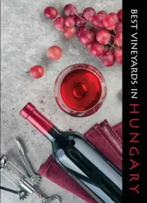 Best Vineyards in Hungary - Ildikó Kolozsvári