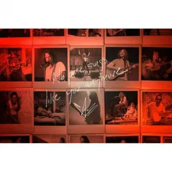 Cornell Chris - No One Sings Like You Anymore CD - Chris Cornell