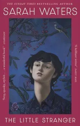 The Little Stranger - Sarah Watersová