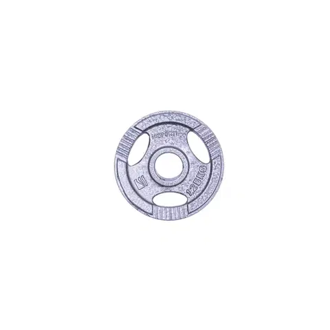 Liatinový kotúč inSPORTline Hamerton 1,25 kg 30 mm