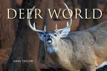 Deer World - Dave Taylor