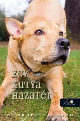 Egy kutya hazatér - W. Bruce Cameron