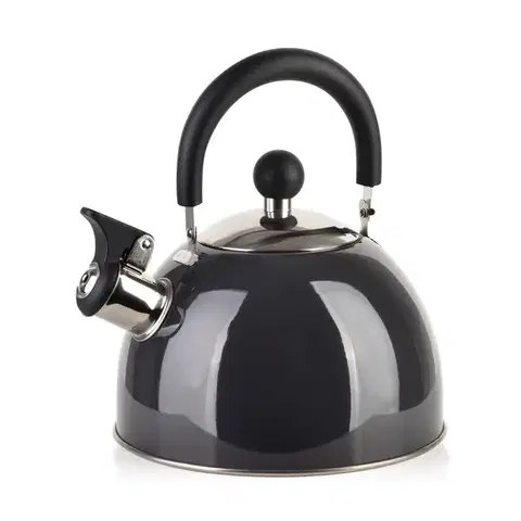 Nerezová varná kanvica CURT GREY 2 l sivá