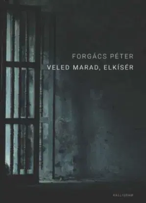 Veled marad, elkísér - Péter Forgács