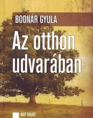 Az otthon udvarában - Gyula Bodnár