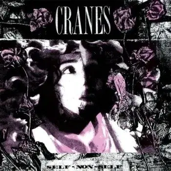 Cranes - Self-Non-Self (Black & White Marbled) LP - Cranes