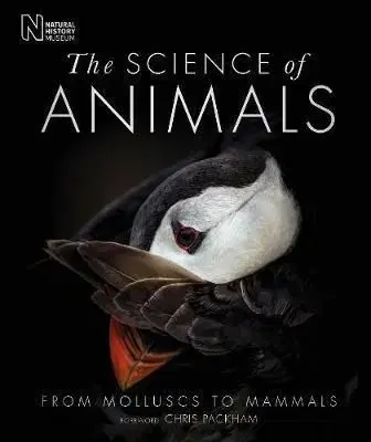 Fauna