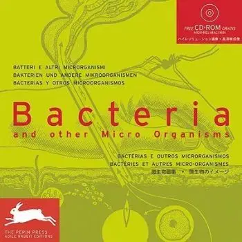 Bacteria and other Micro Organisms