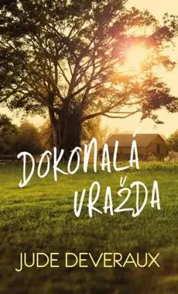 Dokonalá vražda - Jude Deveraux