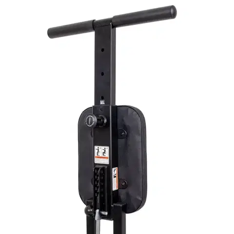 Stepper 3v1 inSPORTline Astario