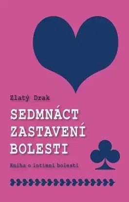Sedmnáct zastavení bolesti - Roman Mlejnek