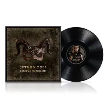 Jethro Tull - Curious Ruminant LP - Jethro Tull
