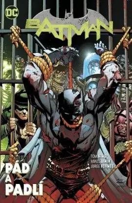 Batman. Pád a padlí - Tom King