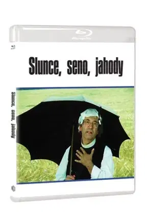 Slunce, seno, jahody BD