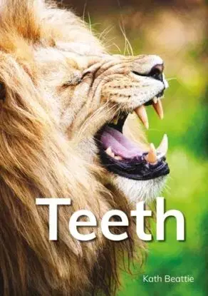 Teeth - Kath Beattie