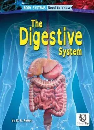 Digestive System - D. R. Faust