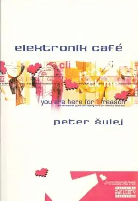 Elektronik café - Peter Šulej